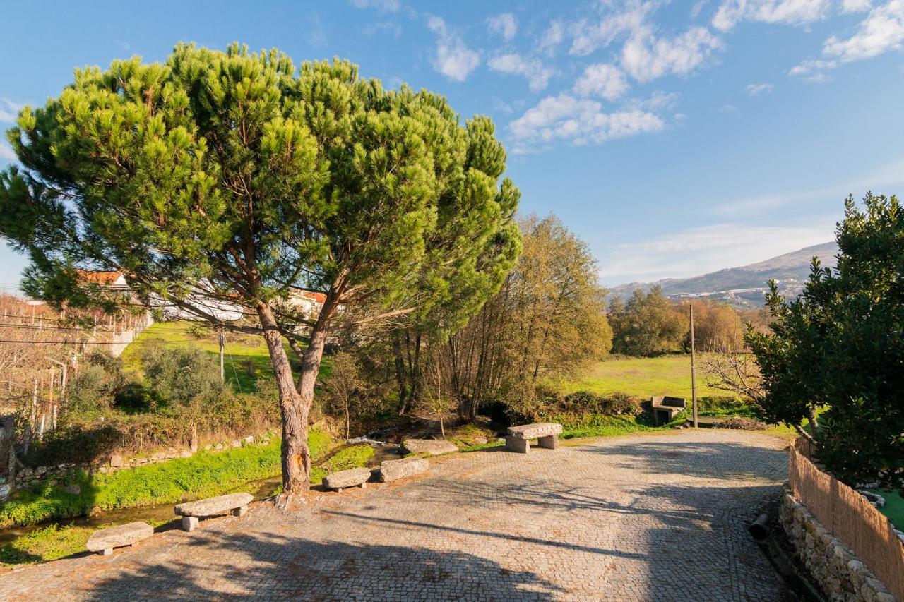 Casa Do Loureiro 1 - Seia - Serra Da Estrela Exteriér fotografie